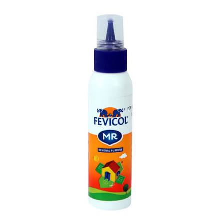 Fevicol White Glue 100Ml